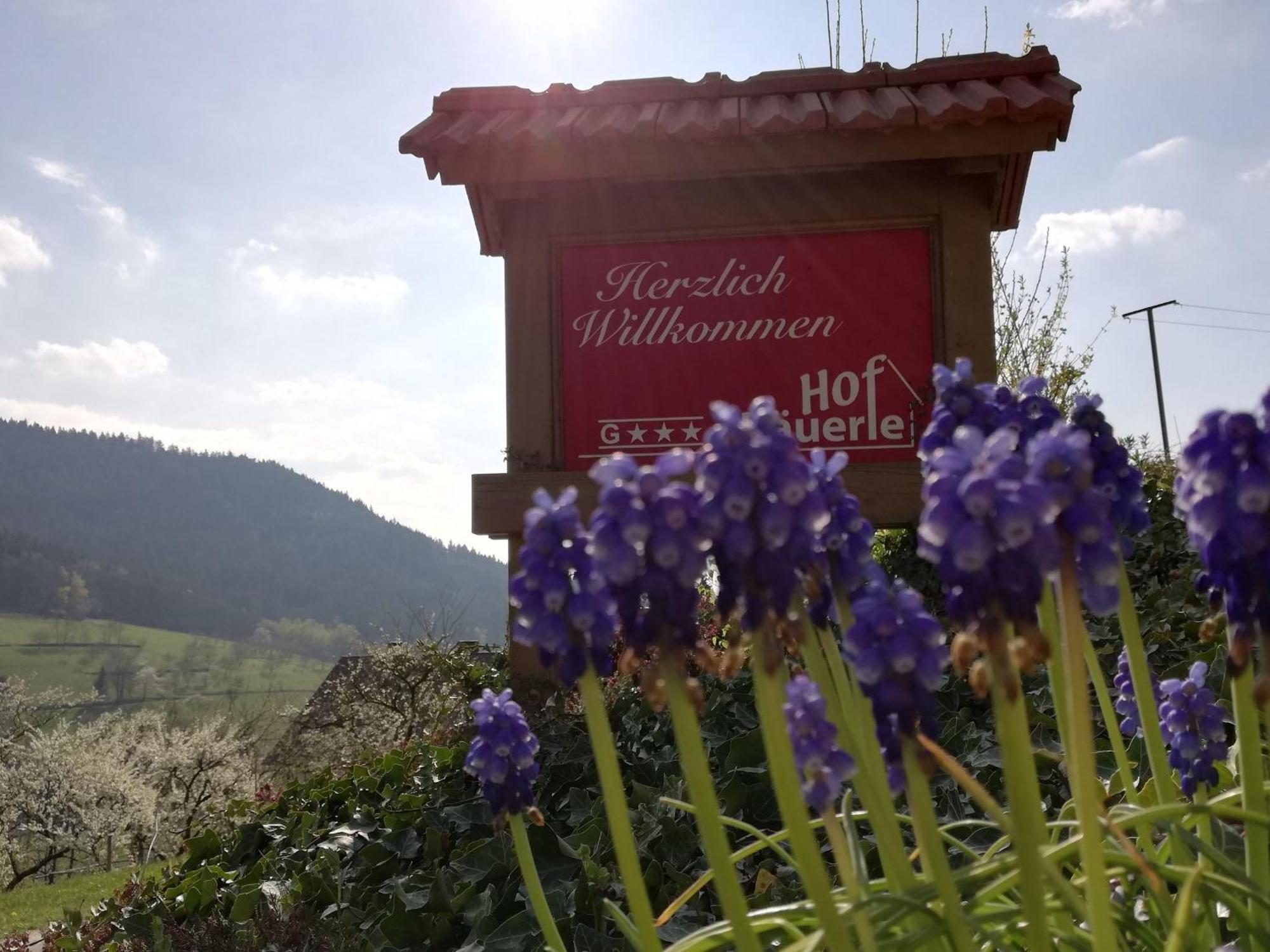 Baeuerlehof Hotell Seebach Exteriör bild